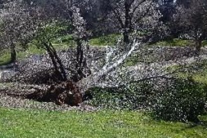 Un científic alerta que cada vegada hi haurà fenòmens atmosfèrics més violents