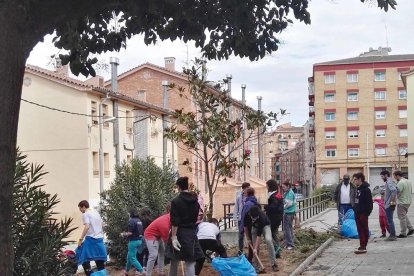 Los jóvenes, en plena limpieza de la zona verde