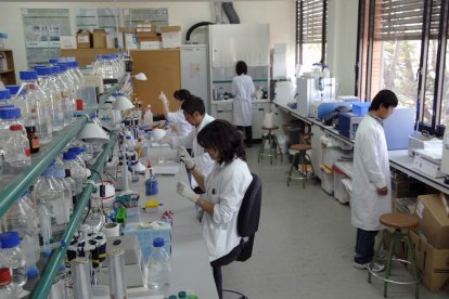 Imatge d’arxiu d’un laboratori de la UdL.