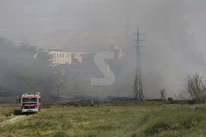 Incendi de canyes a l'avinguda Josep Tarradellas de Lleida