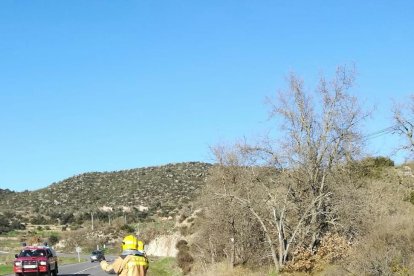 Imatge del vehicle accidentat a Ponts.