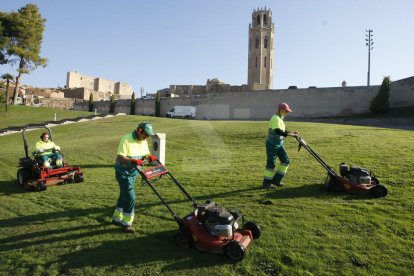 Treballadors a Lleida.