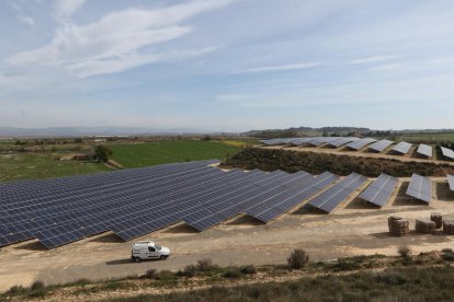 Paneles solares instalados recientemente en el término municipal de Almacelles. 