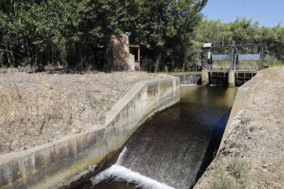 Imatge d’una de les séquies del Canal de Pinyana.