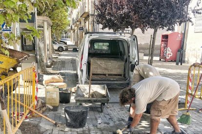 El pavimento estaba dañado por las raíces de los árboles.