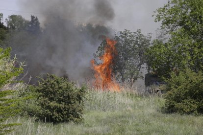 Els Bombers sufoquen un incendi de canyes i matolls a Cappont