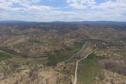 VIDEO La zona cremada per l'incendi a la Ribera d'Ebre i les Garrigues, un any després a vista de dron