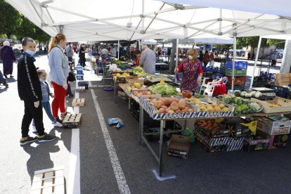 Clients fent cua davant d’un punt de venda del mercat del Barris Nord i, a la dreta, una línia de caixes de fusta per delimitar la separació de seguretat.