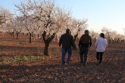 Imatge dels primers visitants de la temporada que van anar ahir a les Garrigues a veure els ametllers en flor que es troben entre la Floresta i Arbeca.