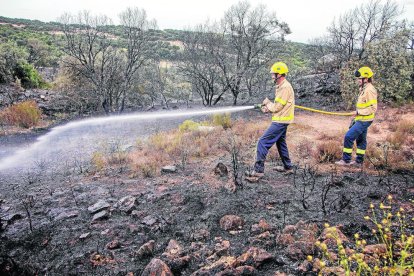 Imatge del foc de divendres passat a la Donzell d’Urgell.