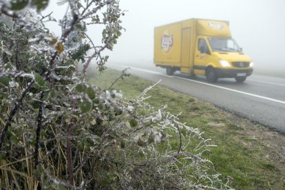 Imatge d’arbustos gelats i la boira ahir al matí a Sant Ramon.