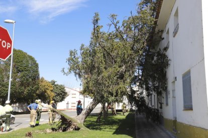 Retirada de la piscina que va caure al carrer a les Borges.