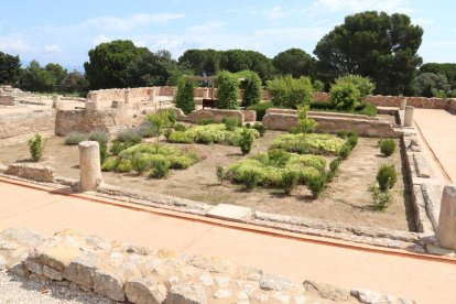 Una vista ahir del jaciment d’època grega d’Empúries.