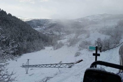 Una torre caída a la zona del valle de la Vansa a causa del temporal de nieve y viento.