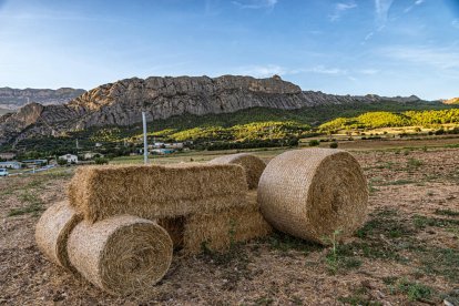 El tractor de paja en las afueras de Oliana construido por el agricultor Domènec Estany. 