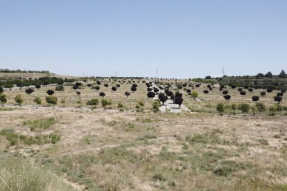 Vista de Torre Salses, zona que es va reurbanitzar fa gairebé quinze anys.