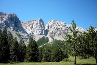 L’accident es va produir a la zona coneguda com la Canal del Cristall, a la serra del Cadí.