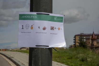 Cartells amb les activitats per tota la ciutat de Tàrrega.