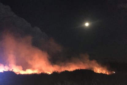 Vista de l’incendi dijous a la partida Pardinyes Altes.