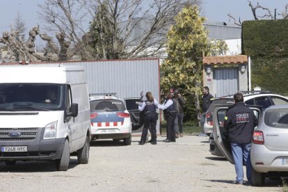 Los dos detenidos tenían supuestamente una plantación en un almacén de la partida Devesa (i) en la que cultivaban marihuana (d.).