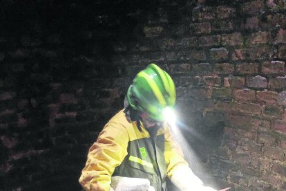 Un agente rural con una cigüeña en el interior de la chimenea.