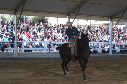 Un dels espectacles que es van celebrar ahir a EquiMollerussa.