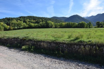 La zona de Bellver de Cerdanya donde se construirá el centro de recuperación de caballos.