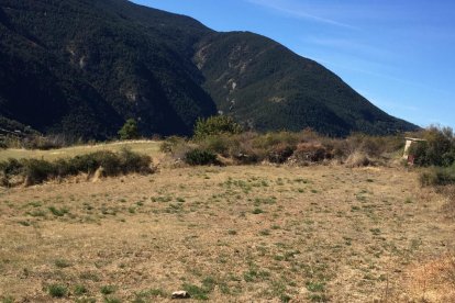 Imatge d’una zona del Pirineu afectada per la sequera.