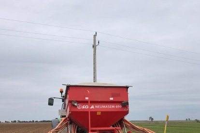 Labores de siembra estos días en una finca en condiciones para ello.