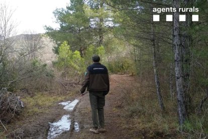 Imatge d’un agent rural a la pista forestal.