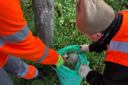 L’actuació forma part de la campanya de prevenció de cada any.