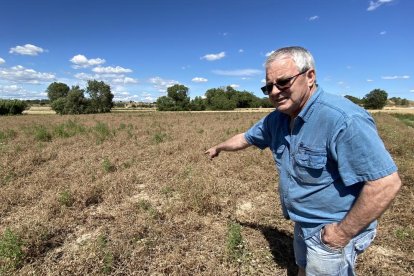 Josep Castella muestra los efectos del agua sobre el guisante.