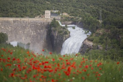 Sant Antoni obre comportes per recollir aigua del desglaç per la calor