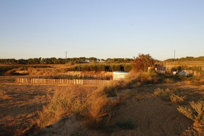 La fiesta tuvo lugar el sábado por la tarde en esta zona de Sucs. 