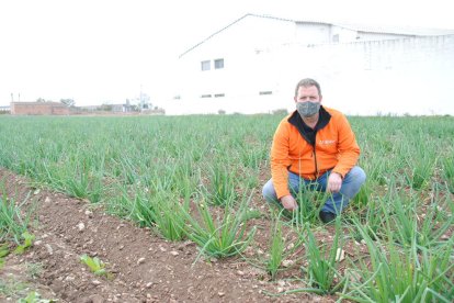 Jordi Llanes, responsable del Rebost de Ponent, en su plantación de Castellnou de Seana. 