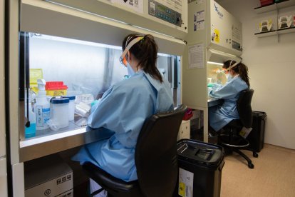 El laboratorio del hospital Clínic de Barcelona.