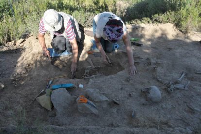 Excavacions a la fossa comuna del Cogul, el mes de juliol passat.