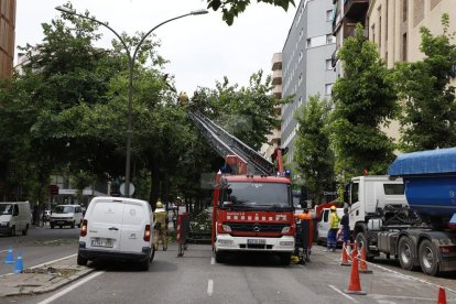 Els treballs de retirada de branques a l'avinguda Prat de la Riba de Lleida.