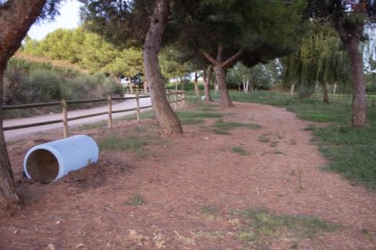 El passeig del parc del Reguer ja llueix recuperat.