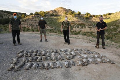 Cazadores de Aitona muestran los conejos abatidos durante la salida del pasado miércoles. 