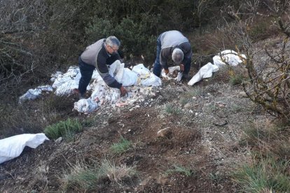 Imagen de la retirada de los escombros de la construcción junto al acceso al aeropuerto de La Seu. 