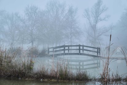 Un dia de boira al parc de la Mitjana, foto guanyadora del Participa i Guanya Temps d'hivern.