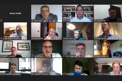 Captura de pantalla d'alguns dels consellers durant el ple telemàtic del Consell Comarcal del Segrià.