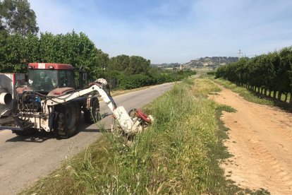 Una màquina neteja la vegetació d’un dels camins.