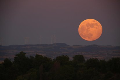 El eclipse de la ‘Luna de fresa’ visto ayer desde el Estany d’Ivars en Vila-sana. 