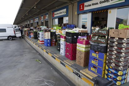 Imatge d’arxiu del mercat central de fruites i verdures del polígon Camí dels Frares.