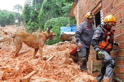 Les pluges deixen 31 morts a Sao Paulo