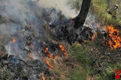 El foc controlat, a Olius.