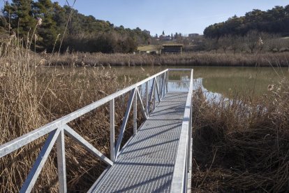 Una de les passarel·les que s’endinsen a la planta de Sant Guim.