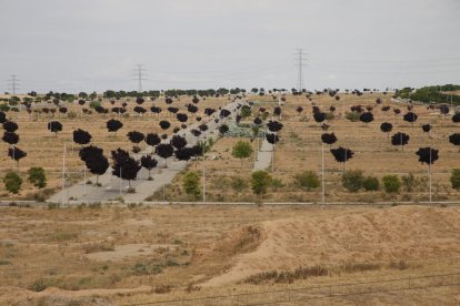 Vista de Torre Salses, cuyas calles urbanizadas hace años están abandonadas, salvo la avenida central.